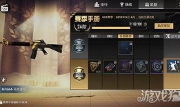 和平精英手册最新皮肤爆料,全新皮肤爆料，视觉盛宴即将开启！