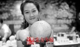 梨元在线观看,揭秘热门剧集背后的精彩故事