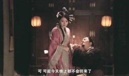 府后在线观看,揭秘府后故事，畅享云端观影之旅